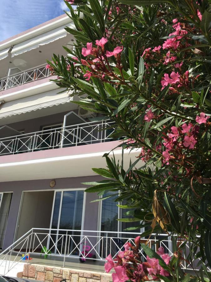 Irini Boutique Rooms!!! Himare Ngoại thất bức ảnh